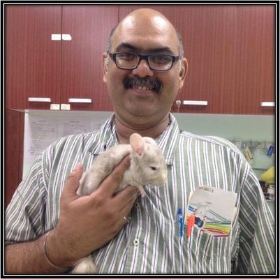 Dr Nihar Jayakar | Veterinary Gynaecology | DrPET Online